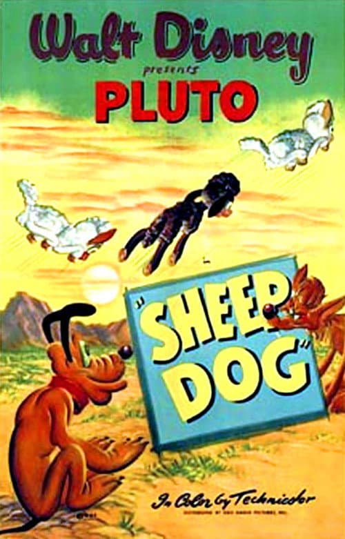 Poster for Sheep Dog