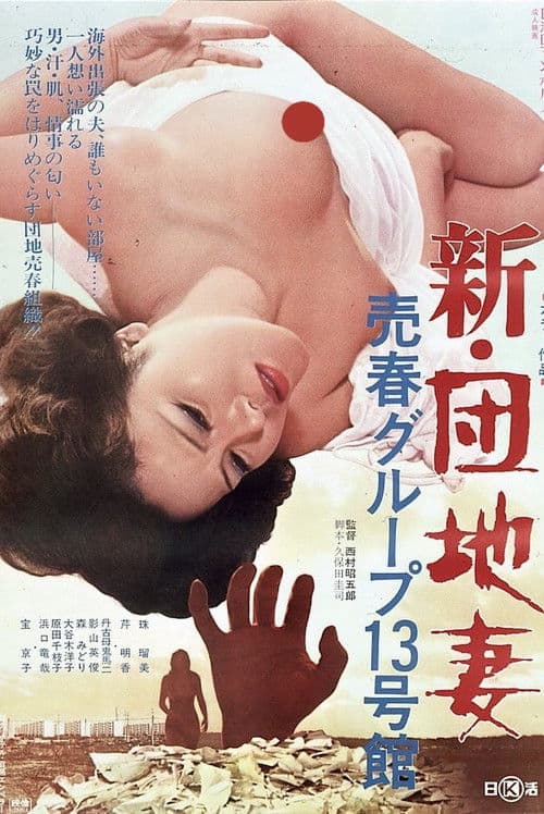 Poster for New Apartment Wife: Prostitution in Building #13