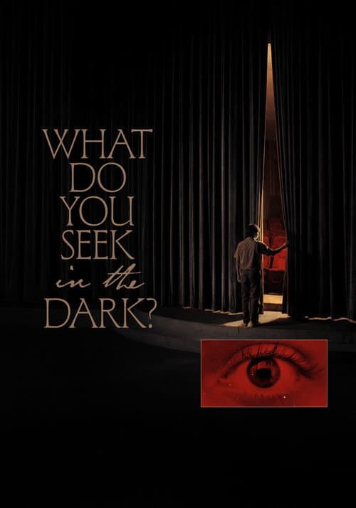 Poster for What Do You Seek in the Dark?