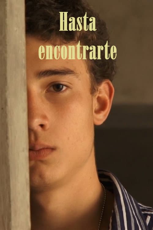 Poster for Hasta encontrarte