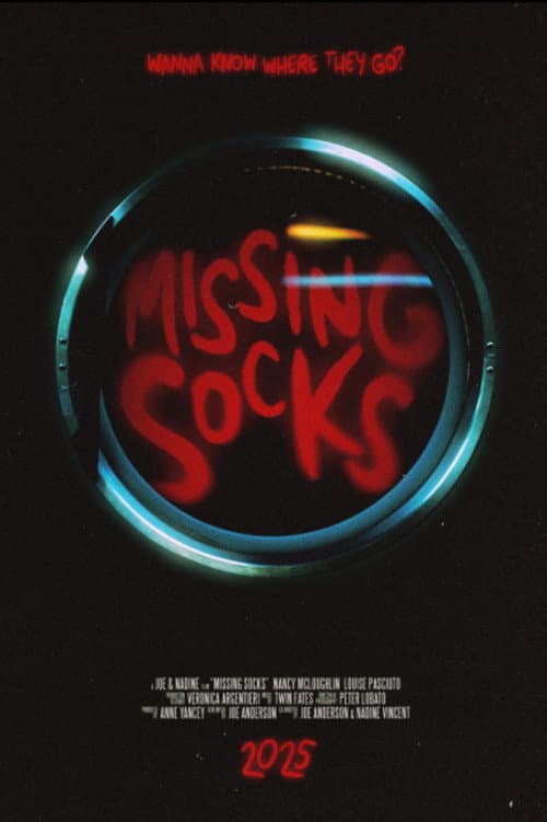 Poster for Missing Socks