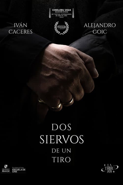 Poster for TWO SERVANTS. ONE STONE