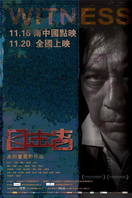Poster for Witness