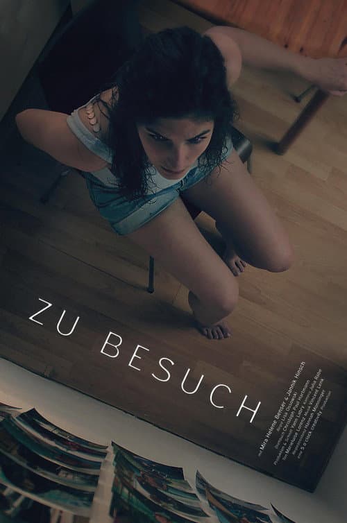 Poster for Visiting