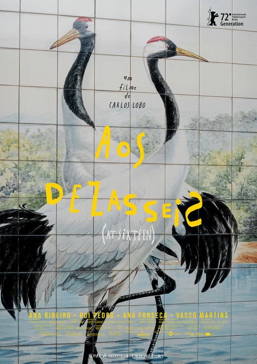 Poster for At Sixteen