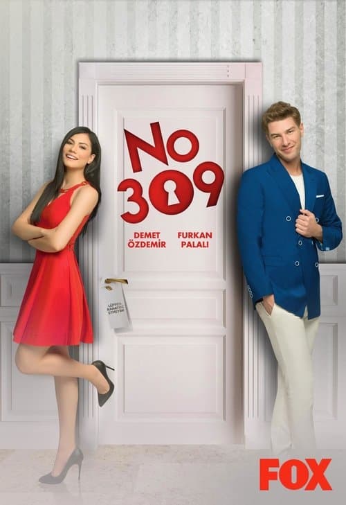 Постер до серіалу «Номер 309 (телесеріал)»