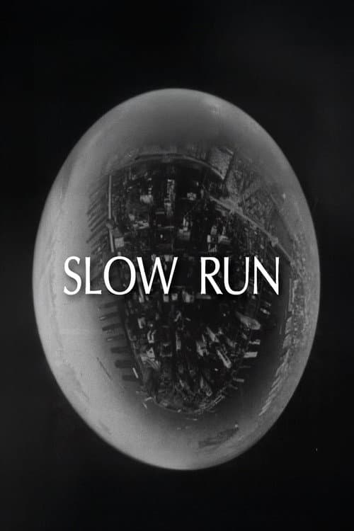 Poster for Slow Run