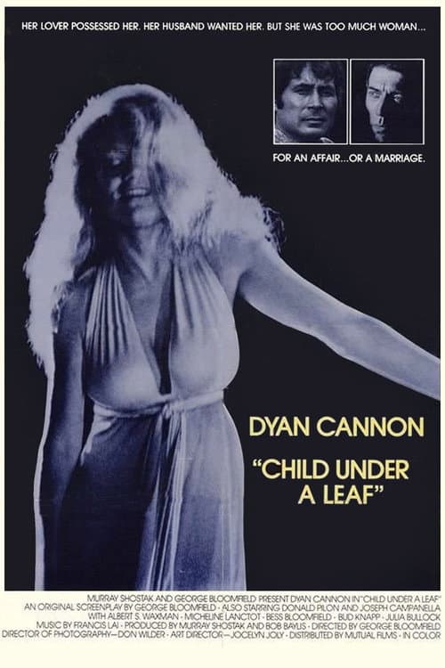Poster for Child Under a Leaf