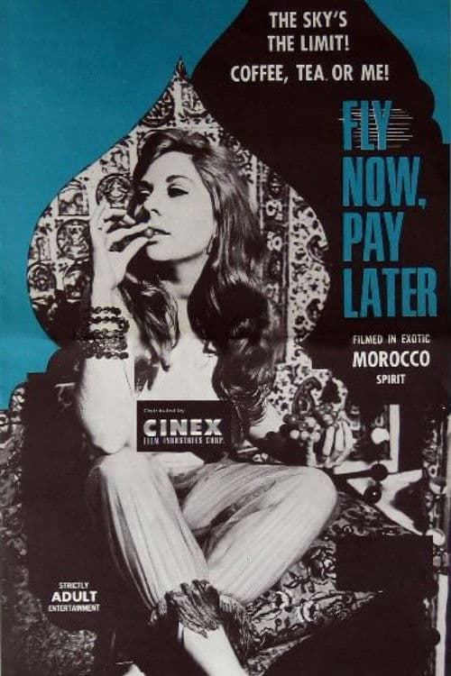 Poster for Fly Now Pay Later