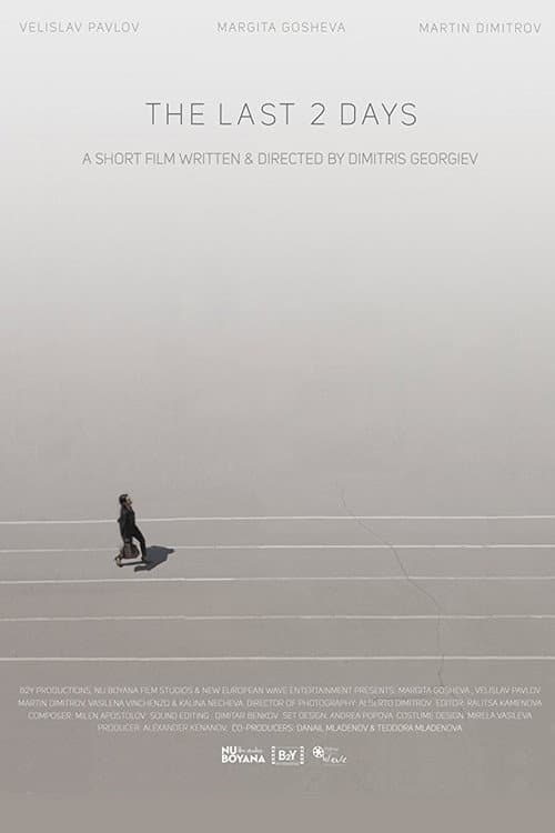 Poster for The Last 2 Days