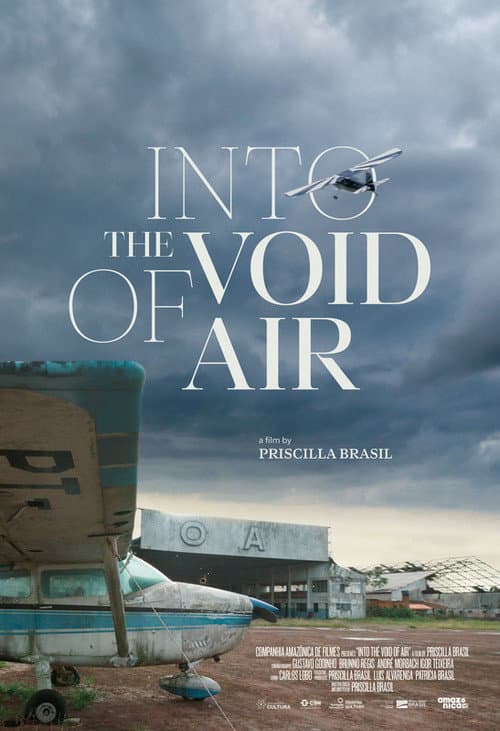 Poster for Into the Void of Air