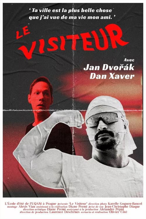 Poster for The Visitor