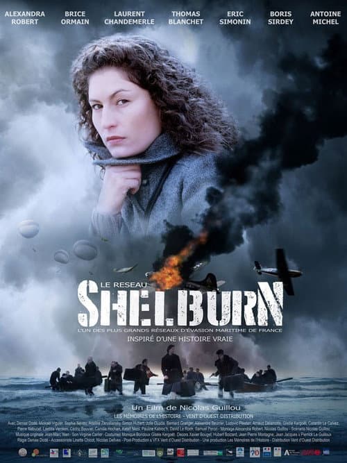 Poster for The Shelburn Network