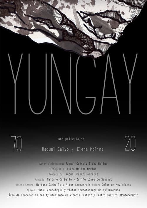 Poster for Yungay 7020
