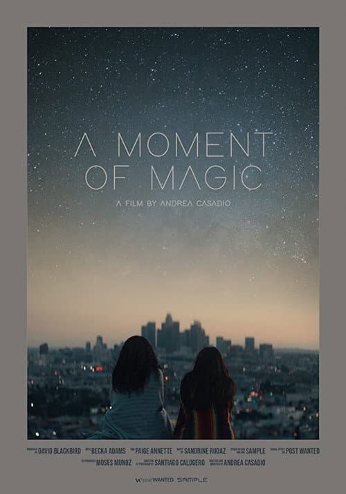 Poster for A Moment of Magic