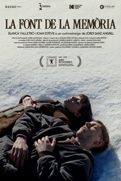 Poster for The Fountain of Memory