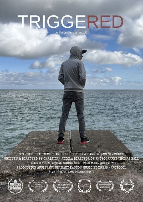 Poster for Triggered