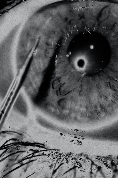 Poster for White Noise