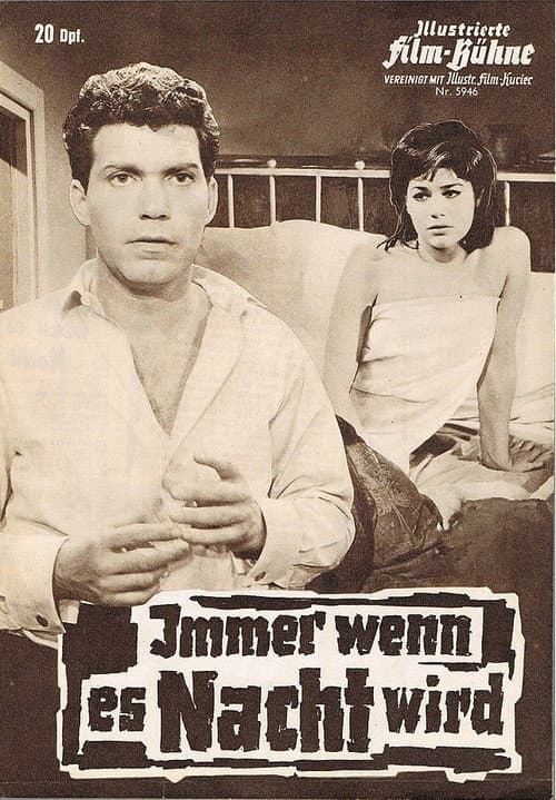 Poster for Immer wenn es Nacht wird