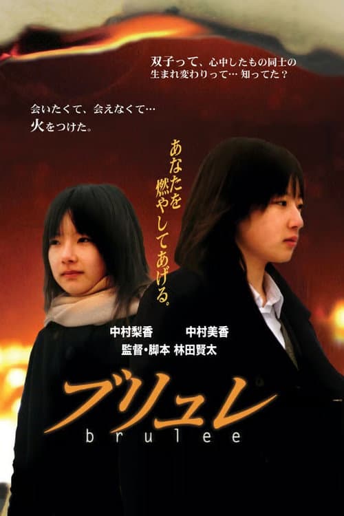 Poster for The Burning