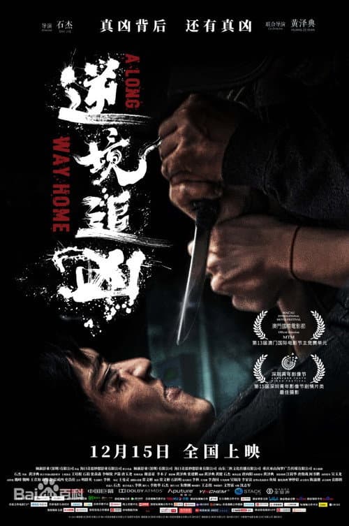 Poster for A Long Way Home