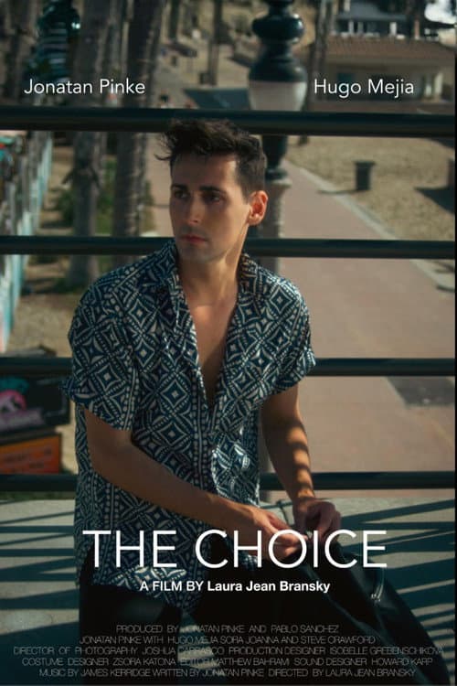 Poster for The Choice