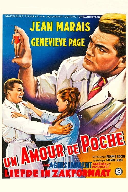 Poster for A Girl in a Pocket