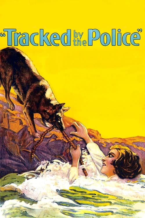 Постер до фільму «Tracked by the Police»