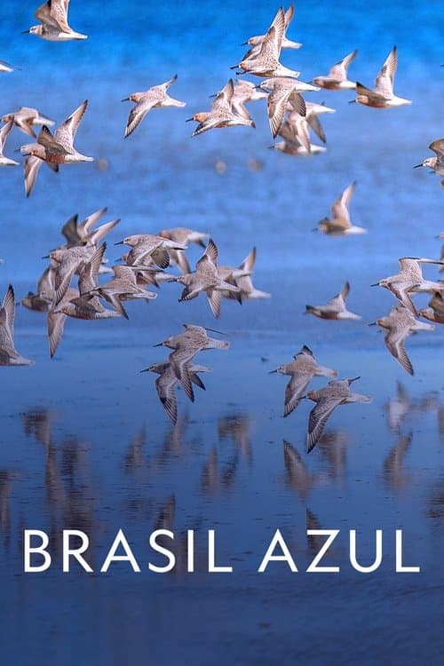 Poster for Blue Brazil