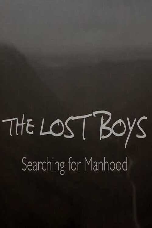 Poster for The Lost Boys: Searching for Manhood