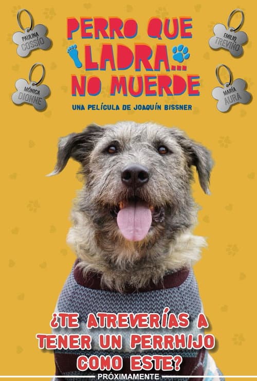 Poster for Perro Que Ladra... No Muerde