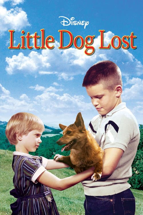 Poster for Little Dog Lost