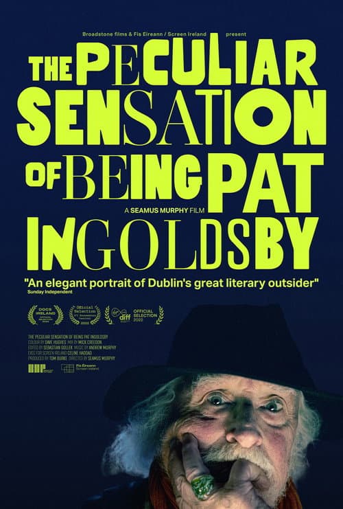 Poster for The Peculiar Sensation of Being Pat Ingoldsby