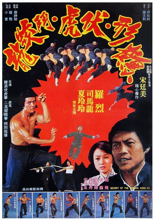 Poster for Secret of Chinese Kung Fu