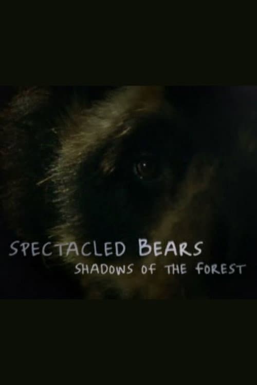 Poster for Spectacled Bears: Shadows of the Forest