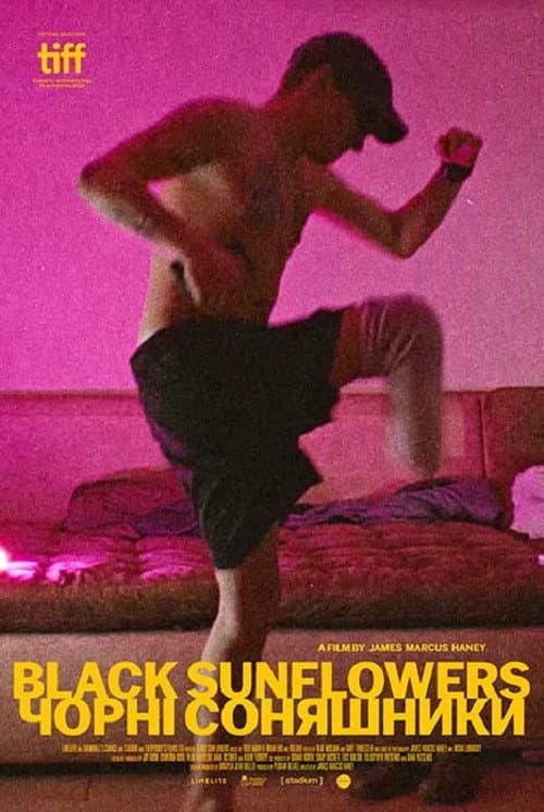 Poster for Black Sunflowers