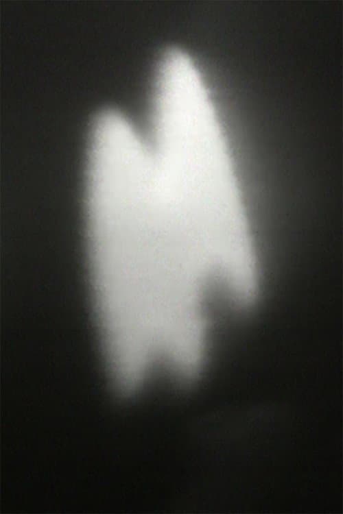 Poster for Pig Music