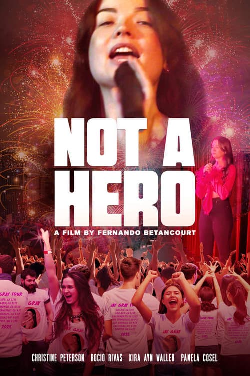 Poster for Not a Hero