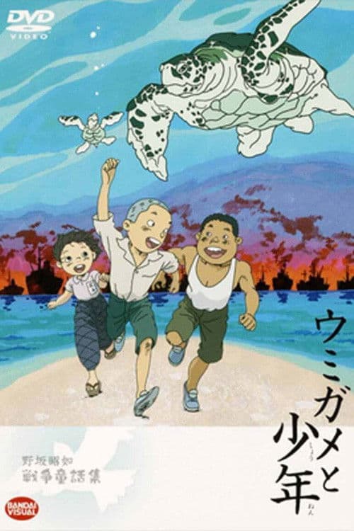 Poster for The Boy and the Sea Turtle