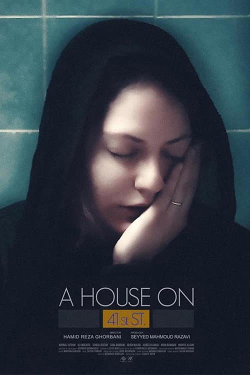 Poster for A House On 41st Street