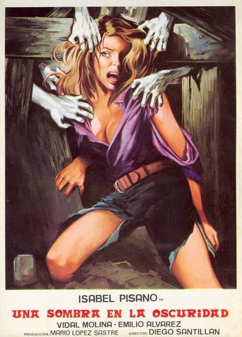 Poster for Una sombra en la oscuridad