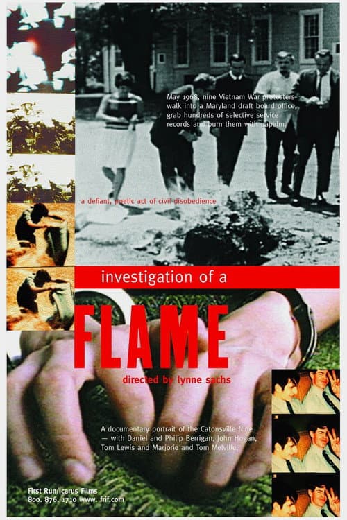 Poster for Investigation of a Flame