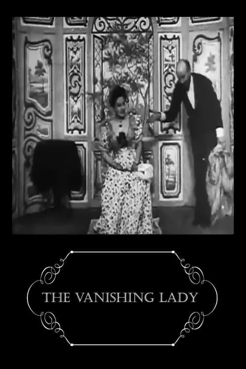 Poster for The Vanishing Lady