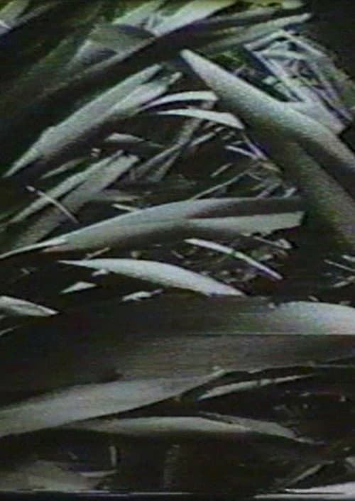 Poster for Sensation '77: Mimicry