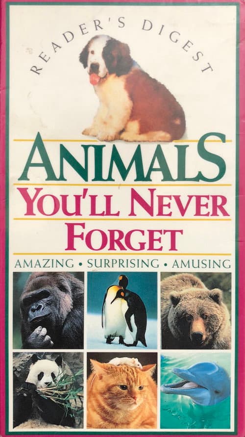Poster for Animals You'll Never Forget