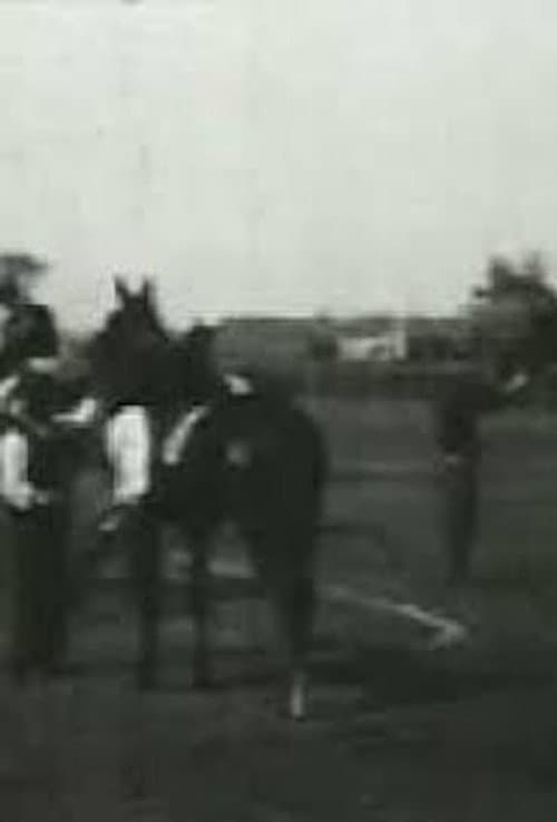 Poster for Racing at Sheepshead Bay