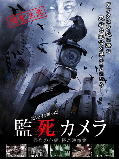 Poster for Paranormal Surveillance Camera