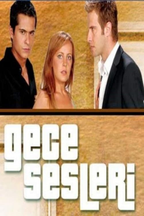 Poster for Gece Sesleri