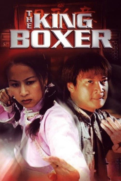 Poster for The King Boxer