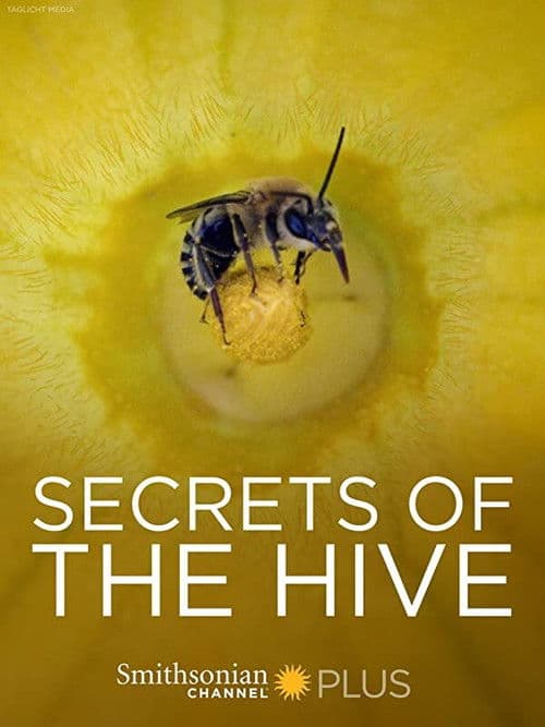 Poster for Secrets of the Hive